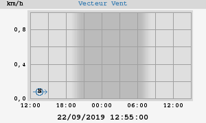 Wind Vector